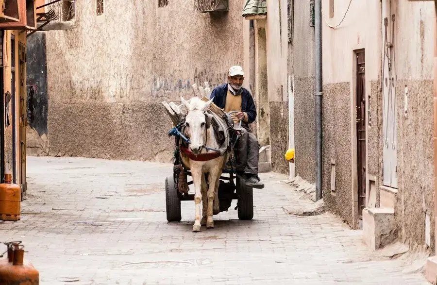 خطط الحكومة لمواجهة أزمة السكن: ماذا يشمل البرنامج الجديد؟