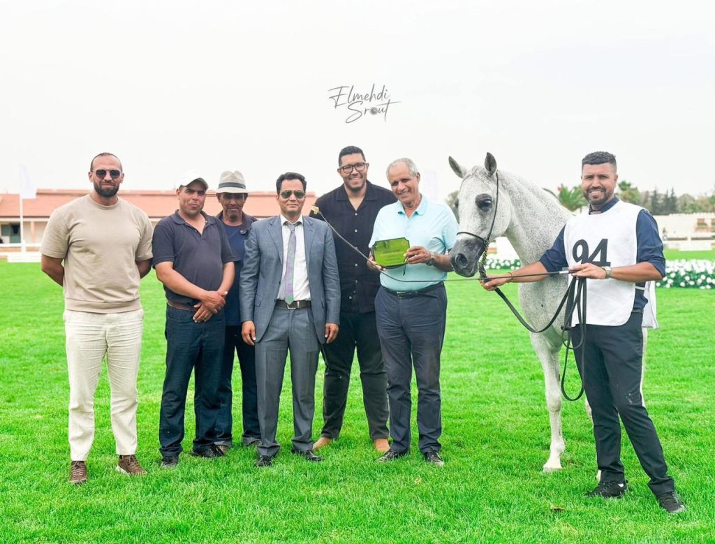 المحمدية تحتضن أكبر مسابقة وطنية لمربي الخيول العربية الأصيلة