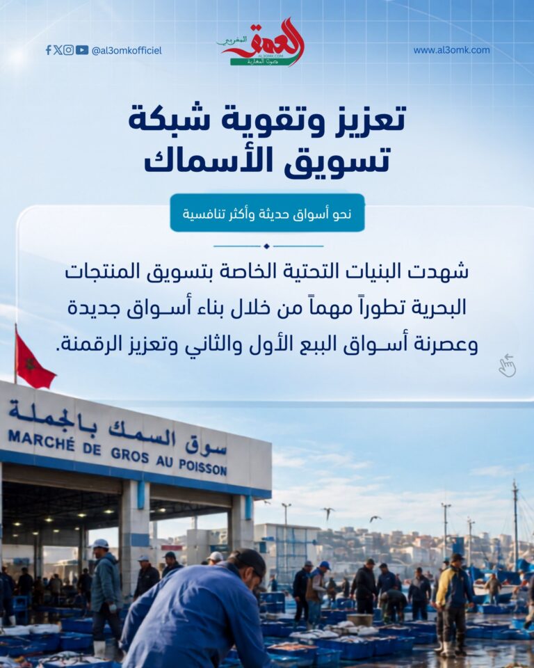 تطوير شبكة تسويق الأسماك بأسواق حديثة ورقمنة شاملة