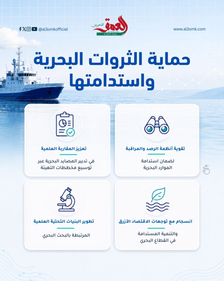 الصيد البحري بالمغرب: تعزيز البحث العلمي لحماية الثروات