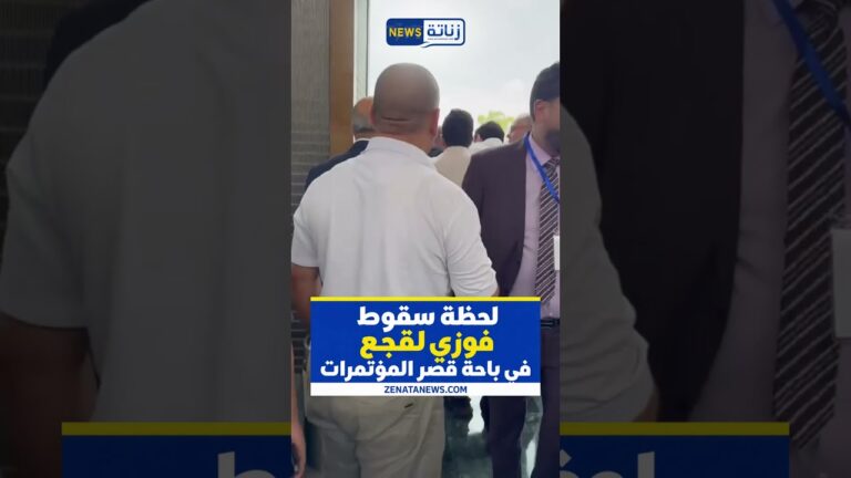زناتة TV