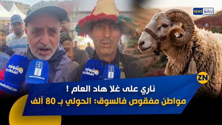 زناتة TV
